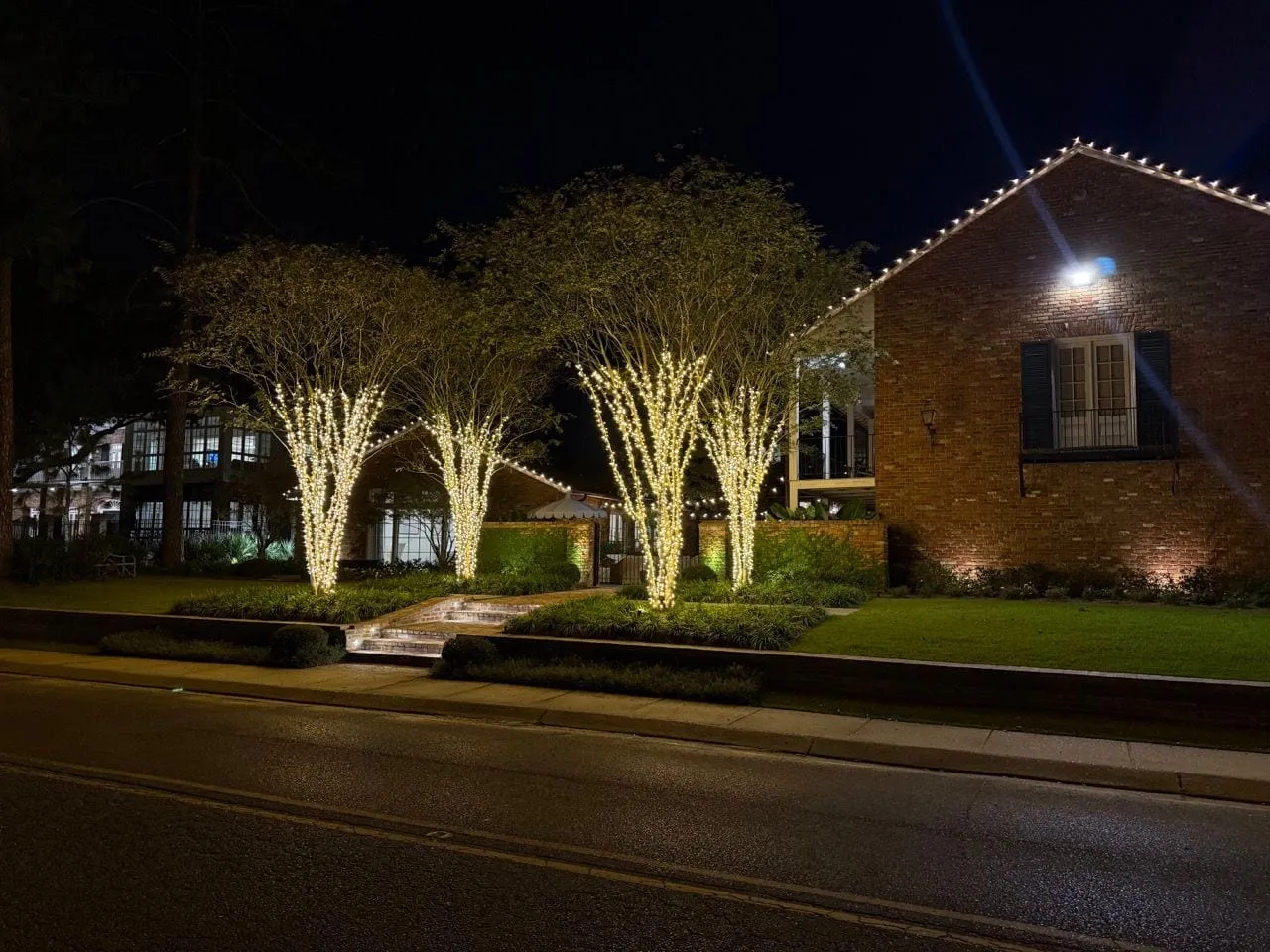 Crepe myrtles wrapped in warm white lights in front of a brick house at night